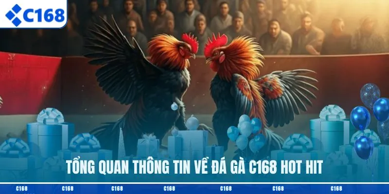 Tổng quan thông tin về đá gà C168 hot hit